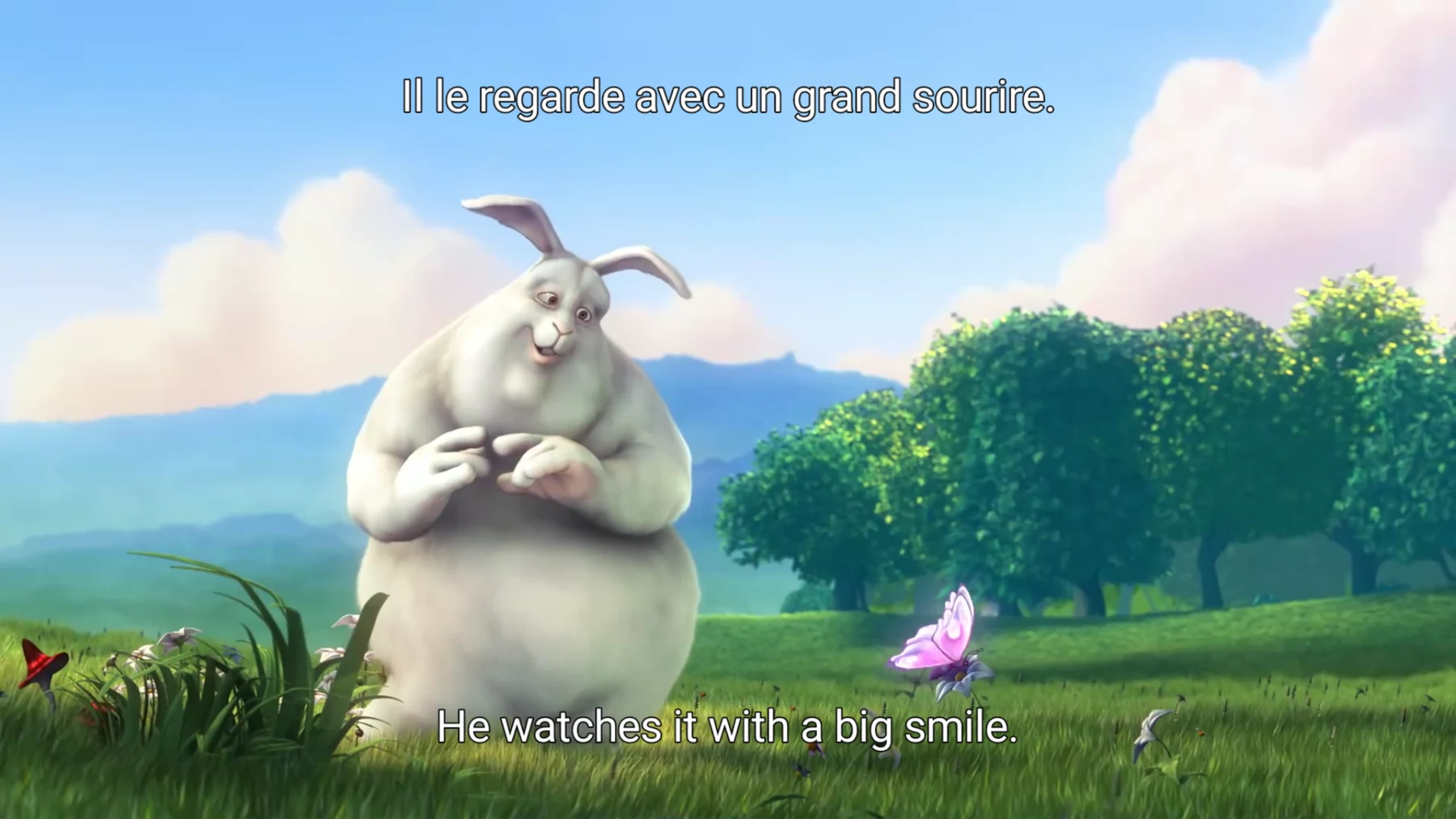 3DPlayer showing French and English subtitle tracks together